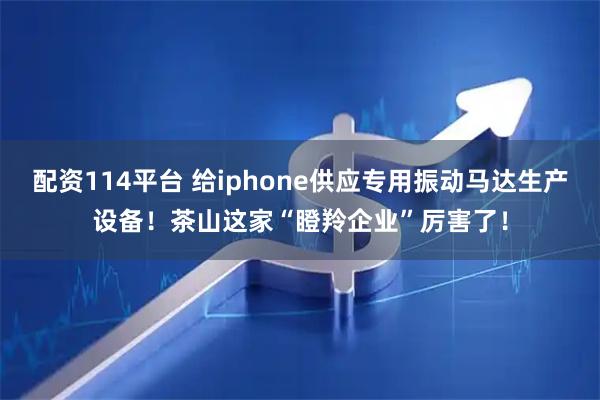 配资114平台 给iphone供应专用振动马达生产设备！茶山这家“瞪羚企业”厉害了！