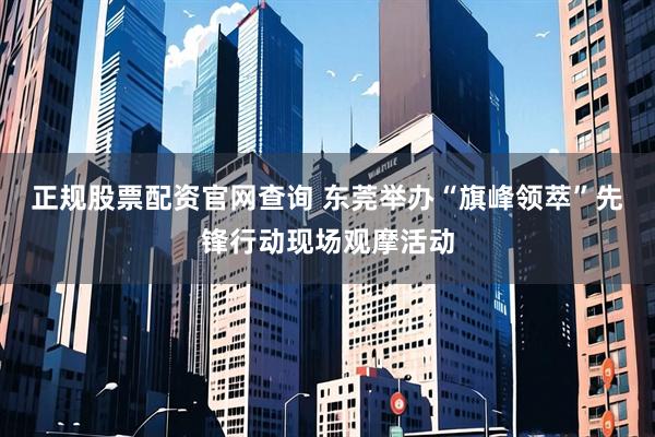 正规股票配资官网查询 东莞举办“旗峰领萃”先锋行动现场观摩活动